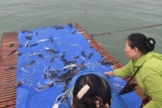 Chùa Đăng Pháp - Bình Phước: Lễ Cầu an đầu năm Ất Tỵ 2025