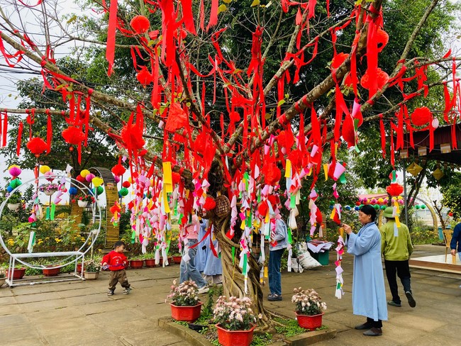 Chùa Đống Cao – Thanh Hoá: Khoá tu niệm Phật một ngày đầu năm
