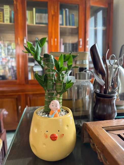 Chùa Đống Cao – Thanh Hoá: Lễ sám hối 30/01; Lễ phóng sinh và tặng cơm chay tại Bệnh viện đa khoa Nga Sơn