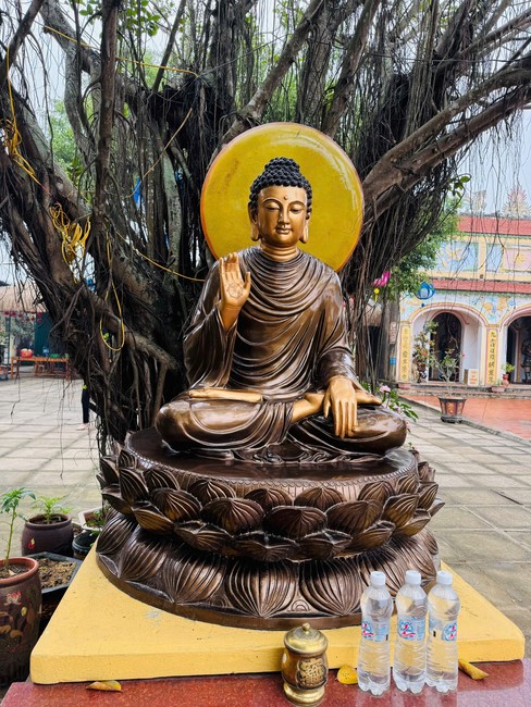 Chùa Đống Cao – Thanh Hoá: Lễ sám hối 30/01; Lễ phóng sinh và tặng cơm chay tại Bệnh viện đa khoa Nga Sơn