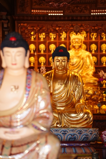 Buddhist trip to visit some branches in the Central Highlands provinces