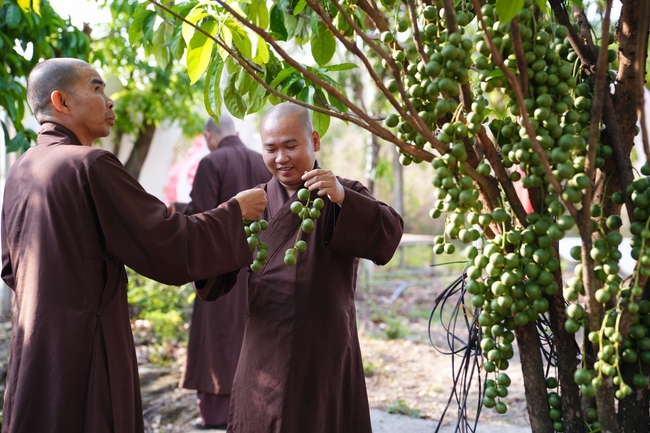 Buddhist trip to visit some branches in the Central Highlands provinces