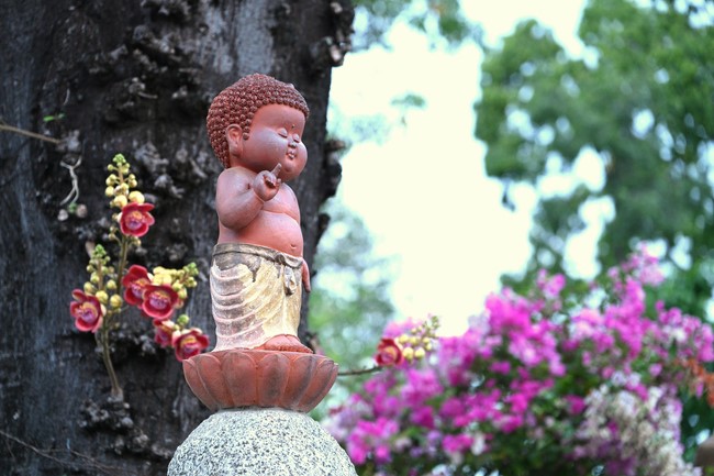 One Day Retreat for Students