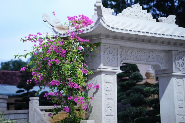 One Day Retreat for Students