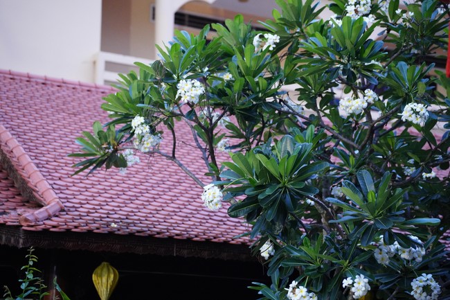 One Day Retreat for Students