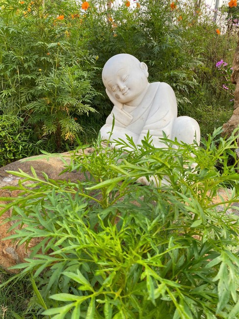 Repentance ceremony on Feb. 29th, Year of the Snake at Suoi Phap Pagoda, Tay Ninh