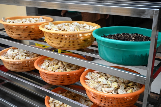 Pháp thoại “Hai pháp cần yếu tăng trưởng huệ tâm” – Ni sư Thích Nữ Hương Nhũ – KTPT 105