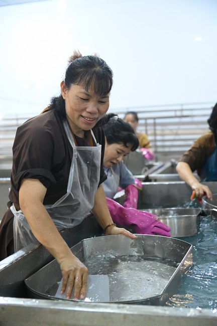 Pháp thoại “Một kiếp không tu ngàn kiếp khổ”- Thượng tọa Thích Trí Huệ - KTPT 105