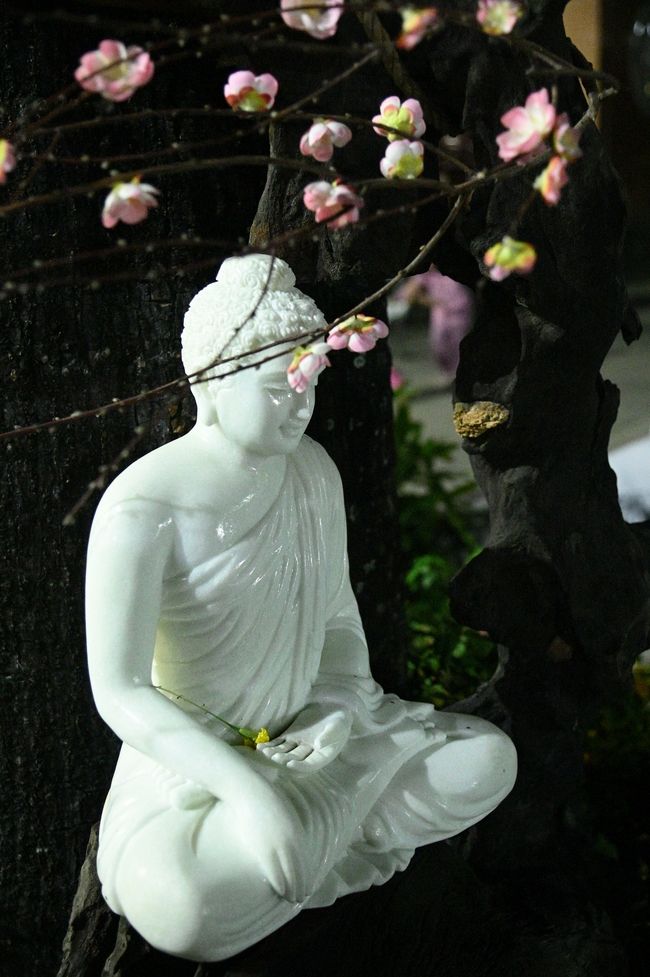 Celebrating the 10th anniversary of Avalokiteshvara ashram, and Seven-year establishing of Hieu-Thuong group