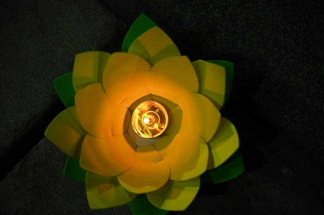 Celebrating the 10th anniversary of Avalokiteshvara ashram, and Seven-year establishing of Hieu-Thuong group