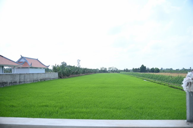 Visiting Truong Phap Pagoda, Hau Giang