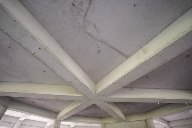 Visiting Truong Phap Pagoda, Hau Giang