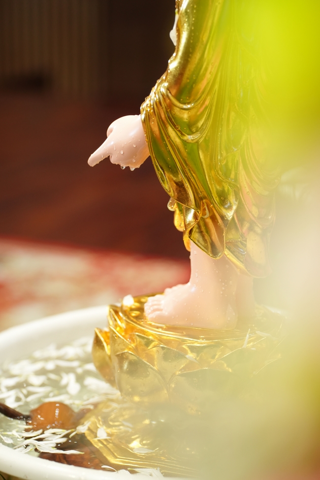 Hội Sinh Viên: Lễ Mộc dục mùa Phật đản PL.2659 – DL.2025