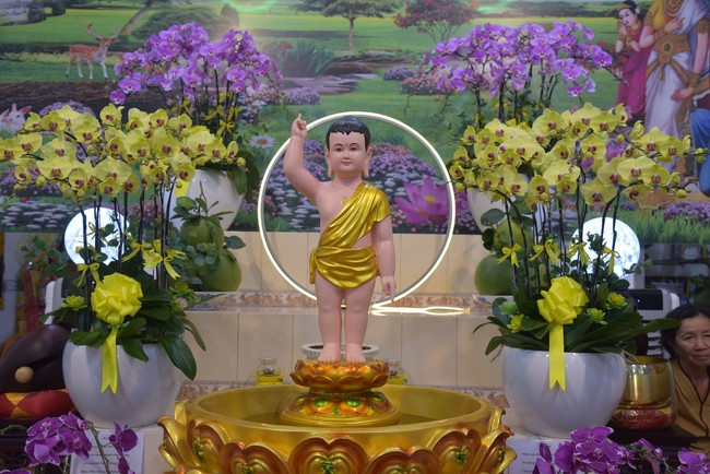 Đạo Tràng Minh Chất - Cần Thơ: Lễ Tắm Phật và tặng quà nhân mùa Phật đản