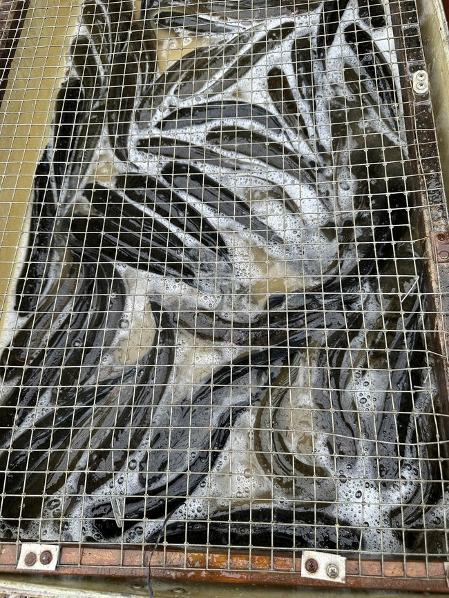 Chùa Đống Cao – Thanh Hóa: Khóa tu niệm Phật một ngày