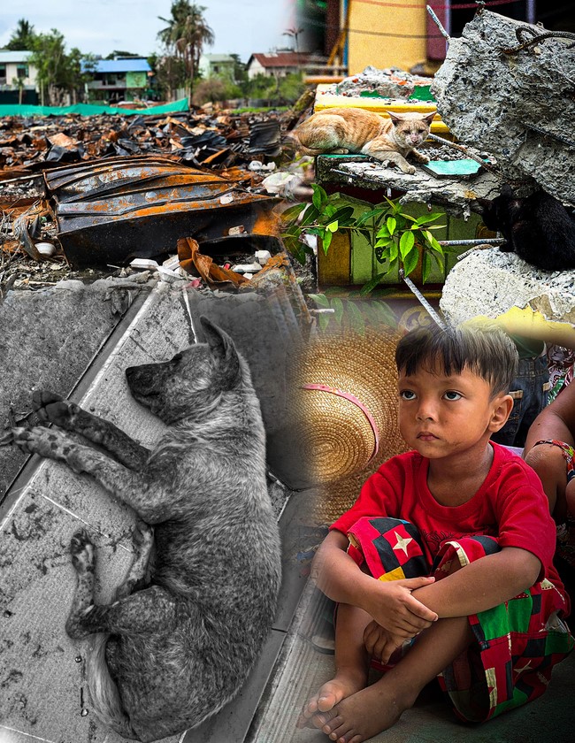 Humanitarian relief trip in Myanmar