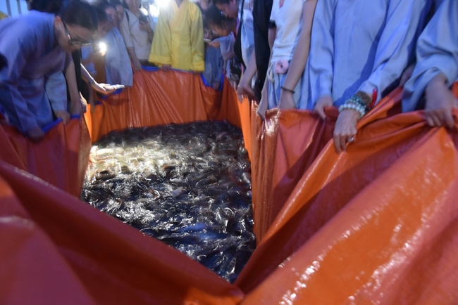 One-Day Retreat at Minh Chat ashram in Can Tho