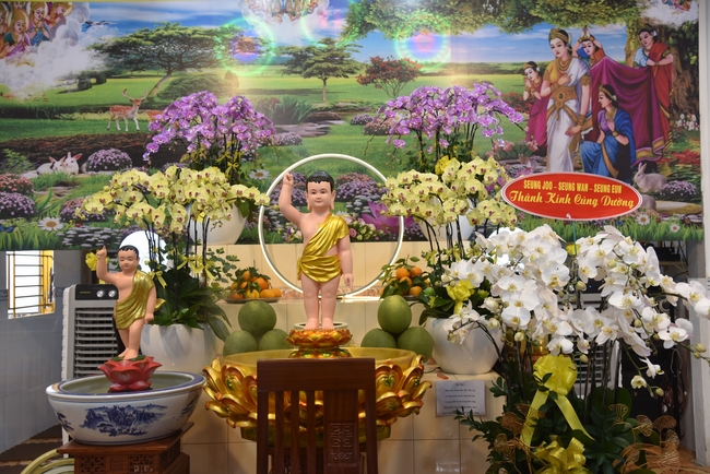 One-Day Retreat at Minh Chat ashram in Can Tho