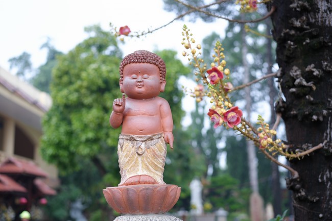 Chương trình cộng đồng “Thanh lọc thân tâm - Hướng dẫn phương pháp sống khỏe thuận tự nhiên