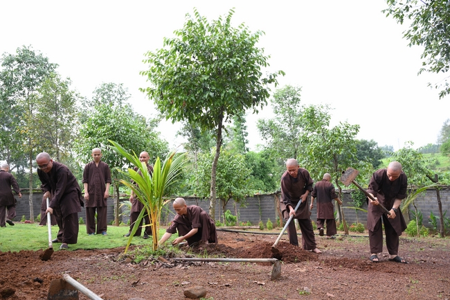 Chư Tăng đảnh lễ Hoà thượng Ân sư sau khi thọ giới tại Đại giới đàn Thiện Huệ - Đồng Tháp