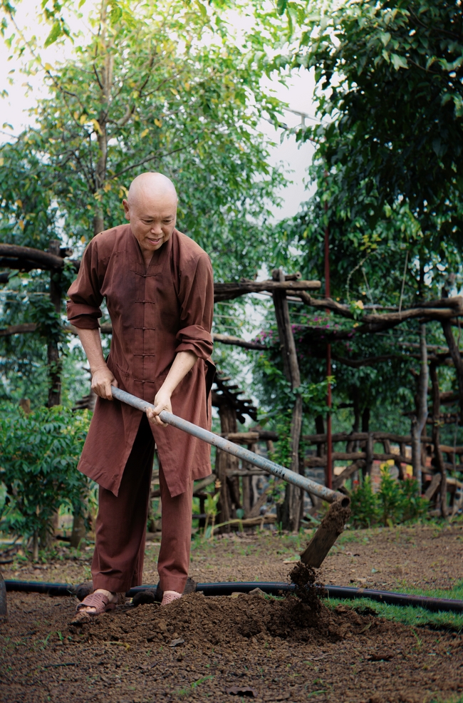 Chư Tăng đảnh lễ Hoà thượng Ân sư sau khi thọ giới tại Đại giới đàn Thiện Huệ - Đồng Tháp