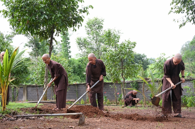Chư Tăng đảnh lễ Hoà thượng Ân sư sau khi thọ giới tại Đại giới đàn Thiện Huệ - Đồng Tháp