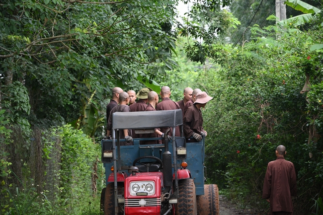 Chư Tăng đảnh lễ Hoà thượng Ân sư sau khi thọ giới tại Đại giới đàn Thiện Huệ - Đồng Tháp