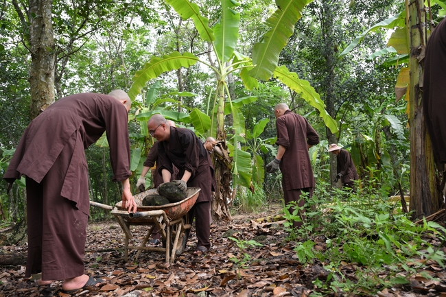 Chư Tăng đảnh lễ Hoà thượng Ân sư sau khi thọ giới tại Đại giới đàn Thiện Huệ - Đồng Tháp