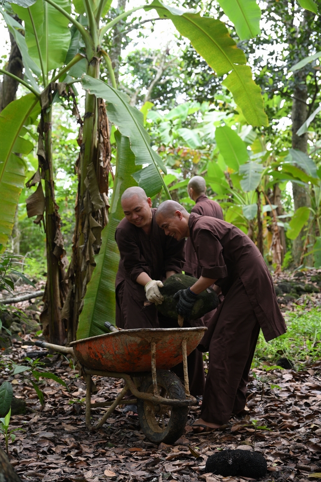 Chư Tăng đảnh lễ Hoà thượng Ân sư sau khi thọ giới tại Đại giới đàn Thiện Huệ - Đồng Tháp