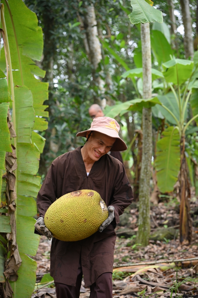 Chư Tăng đảnh lễ Hoà thượng Ân sư sau khi thọ giới tại Đại giới đàn Thiện Huệ - Đồng Tháp