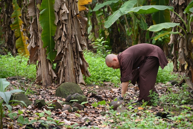 Chư Tăng đảnh lễ Hoà thượng Ân sư sau khi thọ giới tại Đại giới đàn Thiện Huệ - Đồng Tháp