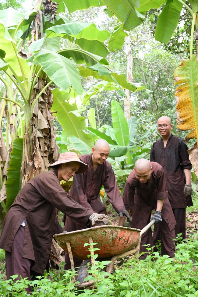 Chư Tăng đảnh lễ Hoà thượng Ân sư sau khi thọ giới tại Đại giới đàn Thiện Huệ - Đồng Tháp