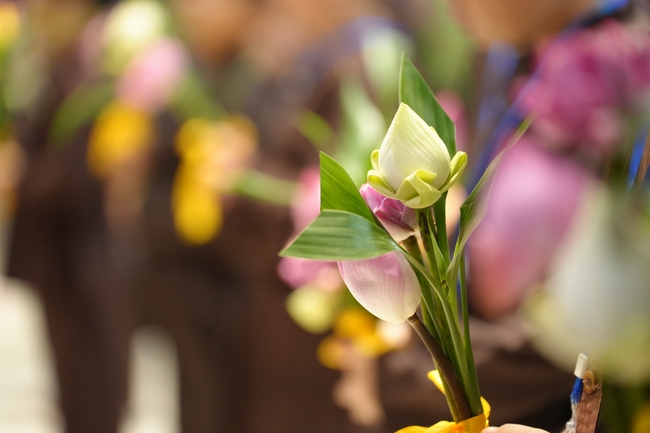 Khai khóa Khoá tu thiếu nhi– Xuất gia gieo duyên, chủ đề “Đóa hoa tâm”