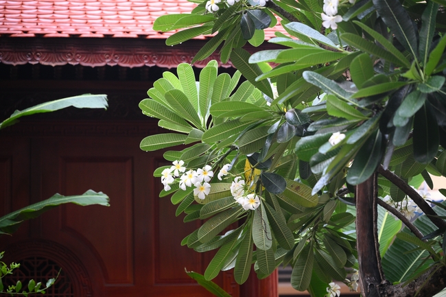 Học sinh trường THPT Nguyễn Văn Cừ cầu nguyện trước kỳ thi