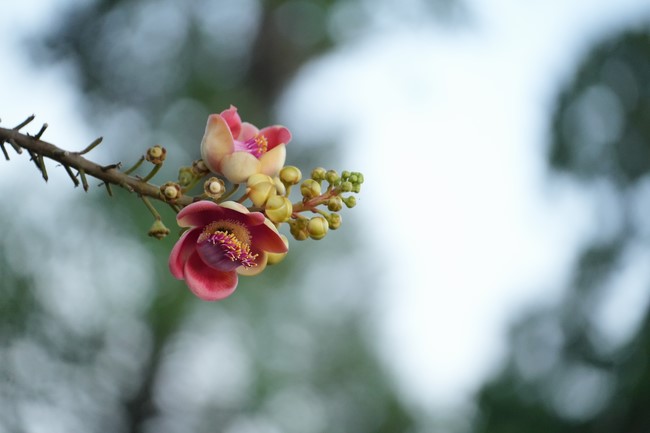 Ngày thứ 3 – KTMH “Tuổi trẻ tâm lành” 2025