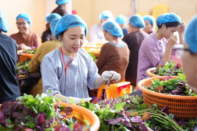 The 4th day of Summer Retreat 2025 “The Good Mind Youth”