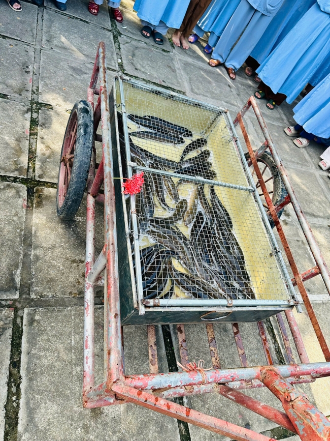 One - Day Practice at Dong Cao pagoda, Thanh Hoa