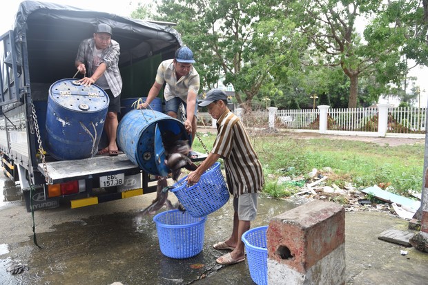 Đạo tràng Minh Chất – Cần Thơ: Khóa tu một ngày