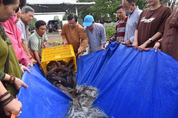 Đạo tràng Minh Chất – Cần Thơ: Khóa tu một ngày
