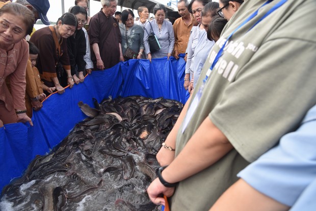 Đạo tràng Minh Chất – Cần Thơ: Khóa tu một ngày