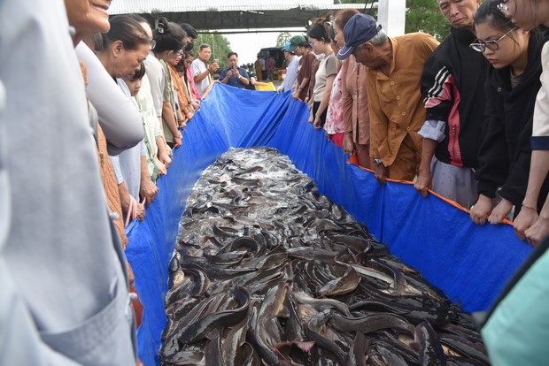 Đạo tràng Minh Chất – Cần Thơ: Khóa tu một ngày