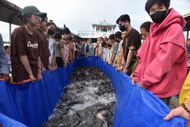 Đạo tràng Minh Chất – Cần Thơ: Khóa tu một ngày