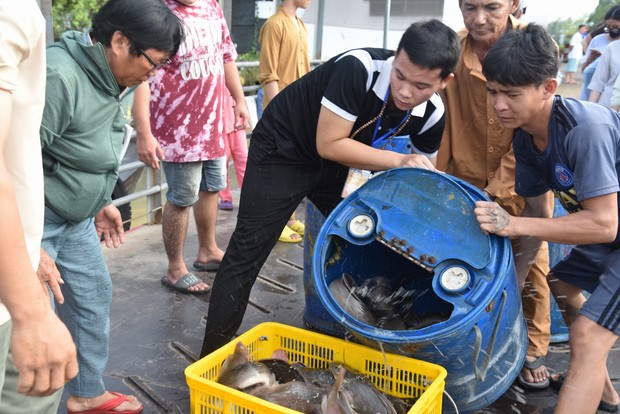 Đạo tràng Minh Chất – Cần Thơ: Khóa tu một ngày
