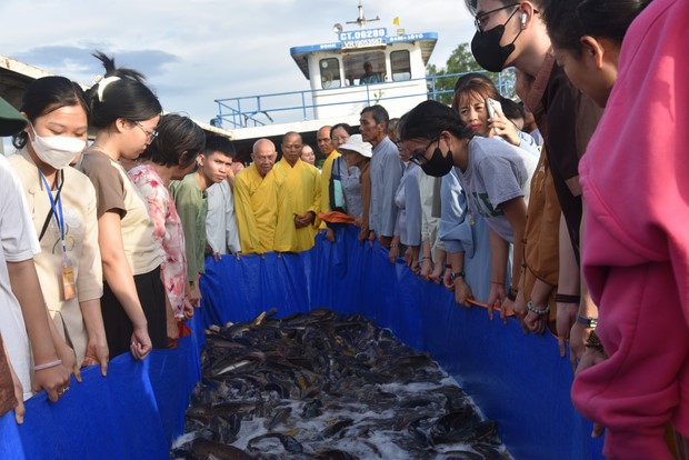 Đạo tràng Minh Chất – Cần Thơ: Khóa tu một ngày