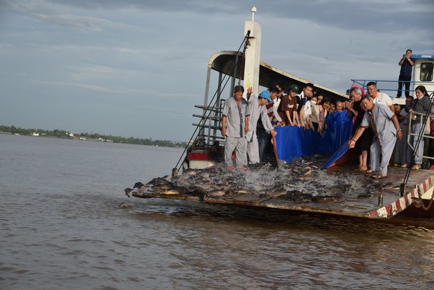 Đạo tràng Minh Chất – Cần Thơ: Khóa tu một ngày