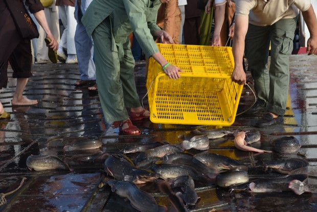 Đạo tràng Minh Chất – Cần Thơ: Khóa tu một ngày