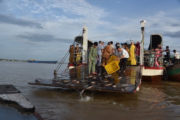 Đạo tràng Minh Chất – Cần Thơ: Khóa tu một ngày