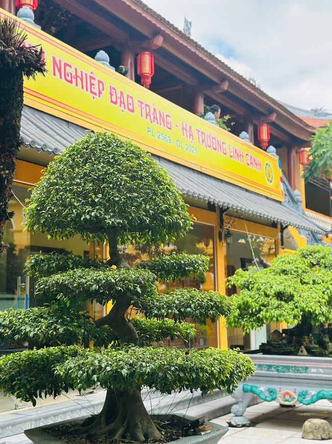 Offering to the rain-retreat schools in Thanh Hoa and Hoang Phap pagoda of Dong Cao Pagoda
