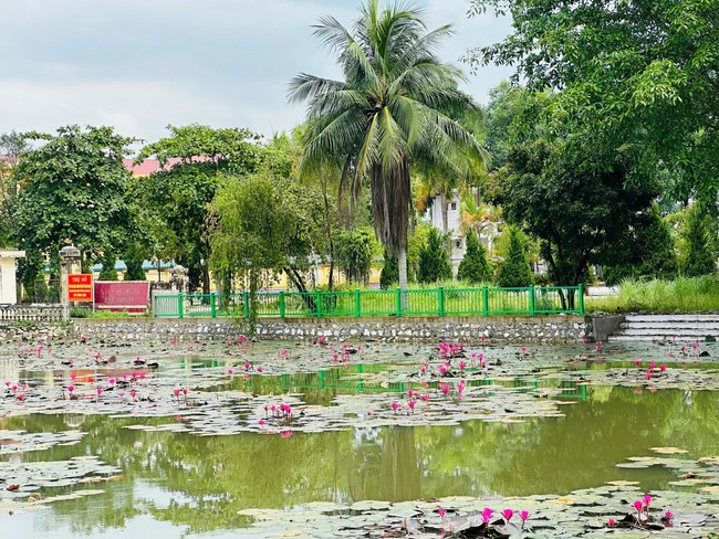 Offering to the rain-retreat schools in Thanh Hoa and Hoang Phap pagoda of Dong Cao Pagoda