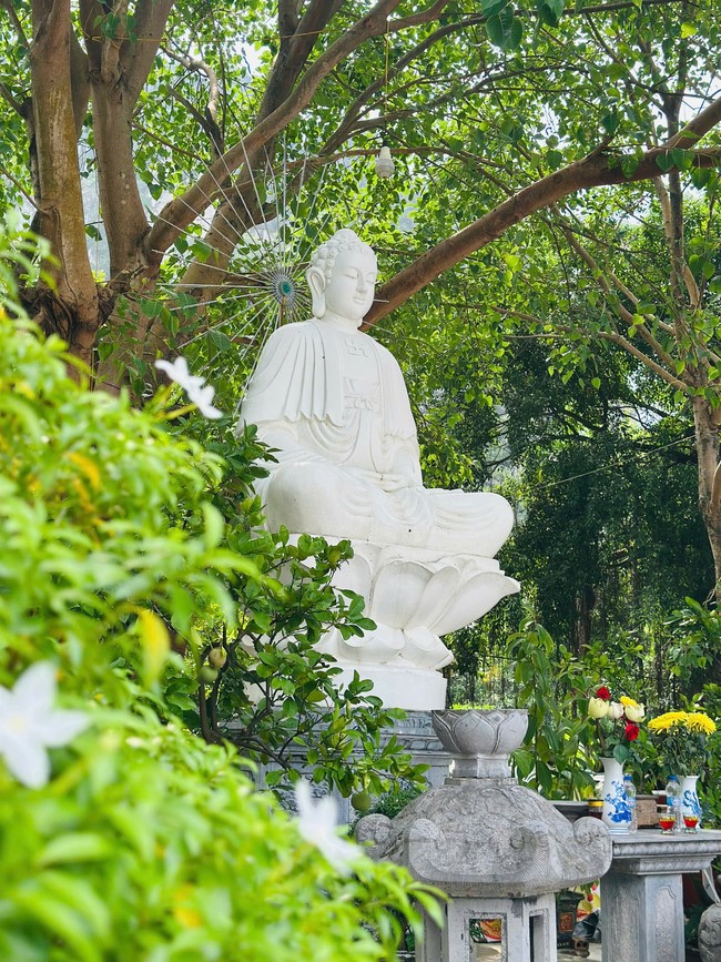 Offering to the rain-retreat schools in Thanh Hoa and Hoang Phap pagoda of Dong Cao Pagoda